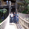 Disneyland: Aladdins treehouse