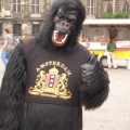 Eurocup 12 Amsterdam - A Gorilla??