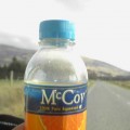 MCCOY! 100% pure squeezed