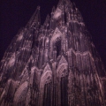 The dom at night